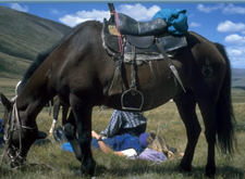 Mongolia-Arhangay-Mongolia Horse Trek in Arhangay
